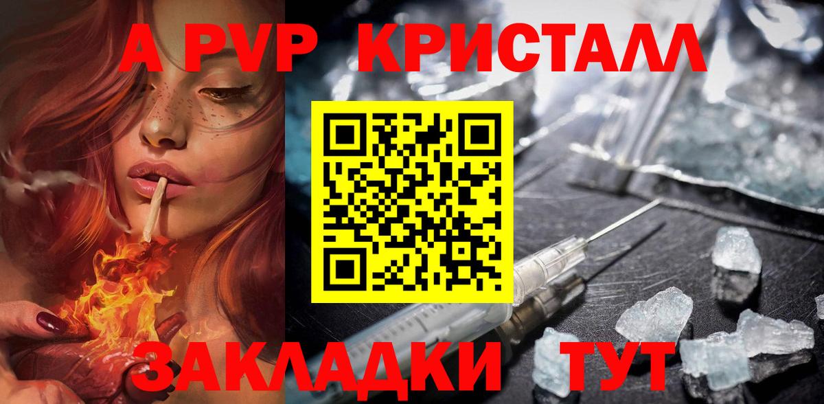 APVP СК Великий Устюг